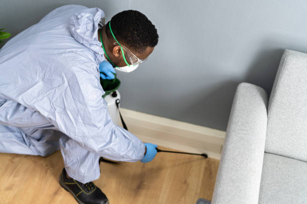 Best Real Estate Pest Inspections  in Woodcliff Lake, NJ